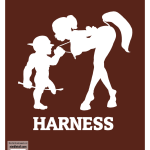 Harness