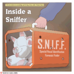 Inside a Sniffer